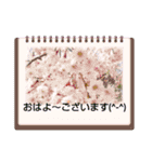 フラワーのLINEスタンプ（個別スタンプ：4）