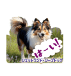 リアル犬種大図鑑（個別スタンプ：38）