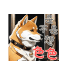 キュートな柴犬ベビーの生活 Ver2 (漢字)（個別スタンプ：3）