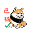 キュートな柴犬ベビーの生活 Ver2 (漢字)（個別スタンプ：13）