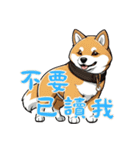 キュートな柴犬ベビーの生活 Ver2 (漢字)（個別スタンプ：14）