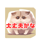 かわいい子猫の雰囲気（個別スタンプ：16）