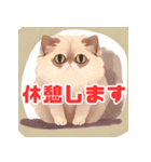 かわいい子猫の雰囲気（個別スタンプ：17）