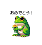 ドット絵 カエル 日常会話 40種（個別スタンプ：13）