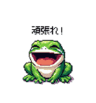 ドット絵 カエル 日常会話 40種（個別スタンプ：16）