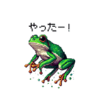 ドット絵 カエル 日常会話 40種（個別スタンプ：24）