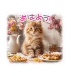 猫好きさんに♡イベント～日常☆年中使える（個別スタンプ：1）