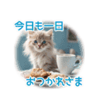 猫好きさんに♡イベント～日常☆年中使える（個別スタンプ：6）