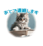 猫好きさんに♡イベント～日常☆年中使える（個別スタンプ：13）