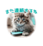 猫好きさんに♡イベント～日常☆年中使える（個別スタンプ：14）