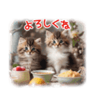 猫好きさんに♡イベント～日常☆年中使える（個別スタンプ：16）