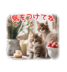 猫好きさんに♡イベント～日常☆年中使える（個別スタンプ：18）