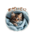 猫好きさんに♡イベント～日常☆年中使える（個別スタンプ：20）