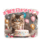 猫好きさんに♡イベント～日常☆年中使える（個別スタンプ：26）