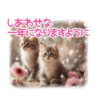 猫好きさんに♡イベント～日常☆年中使える（個別スタンプ：28）