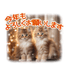 猫好きさんに♡イベント～日常☆年中使える（個別スタンプ：33）