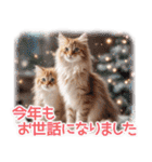 猫好きさんに♡イベント～日常☆年中使える（個別スタンプ：36）