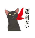 忍者☆猫影参上（個別スタンプ：30）