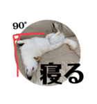 オラ、しんのすけ ①（個別スタンプ：11）