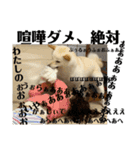 オラ、しんのすけ ①（個別スタンプ：12）