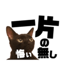 KEYちゃん 8（個別スタンプ：9）
