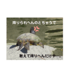 おーさかどーぶつ園。（個別スタンプ：2）