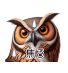 人間みたいなミミズクのミミ族【改訂版】（個別スタンプ：11）