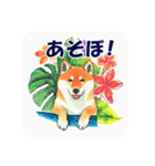 南国柴犬01（個別スタンプ：22）