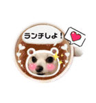 チワワのまめすけスタンプ2（個別スタンプ：30）