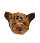 あられちゃんといっしょ（個別スタンプ：2）