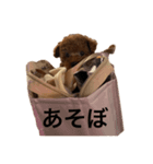 あられちゃんといっしょ（個別スタンプ：8）