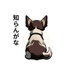 動物スタンプアラカルト（犬2）（個別スタンプ：15）