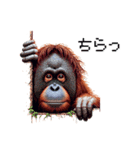 ドット絵 オラウータン 日常会話 40種（個別スタンプ：31）