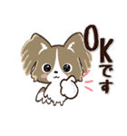 愛犬ワンコde一年中使える♡パピヨン（個別スタンプ：1）
