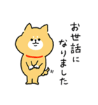 脱力柴犬さん_年中使えるおめでとう（個別スタンプ：29）