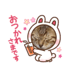 猫スタンプ♡挨拶♡日常♡家族♡友達♡面白（個別スタンプ：2）