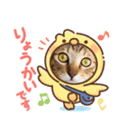 猫スタンプ♡挨拶♡日常♡家族♡友達♡面白（個別スタンプ：3）