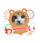 猫スタンプ♡挨拶♡日常♡家族♡友達♡面白（個別スタンプ：4）