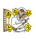 猫スタンプ♡挨拶♡日常♡家族♡友達♡面白（個別スタンプ：12）