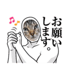 猫スタンプ♡挨拶♡日常♡家族♡友達♡面白（個別スタンプ：14）