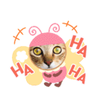 猫スタンプ♡挨拶♡日常♡家族♡友達♡面白（個別スタンプ：18）