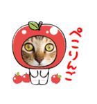 猫スタンプ♡挨拶♡日常♡家族♡友達♡面白（個別スタンプ：20）