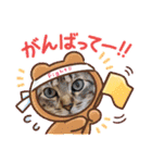 猫スタンプ♡挨拶♡日常♡家族♡友達♡面白（個別スタンプ：23）