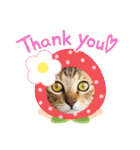 猫スタンプ♡挨拶♡日常♡家族♡友達♡面白（個別スタンプ：24）