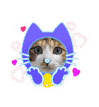 猫スタンプ♡挨拶♡日常♡家族♡友達♡面白（個別スタンプ：27）