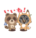 猫スタンプ♡挨拶♡日常♡家族♡友達♡面白（個別スタンプ：29）