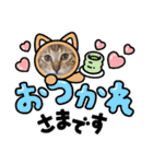 猫スタンプ♡挨拶♡日常♡家族♡友達♡面白（個別スタンプ：37）