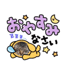 猫スタンプ♡挨拶♡日常♡家族♡友達♡面白（個別スタンプ：38）