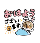 猫スタンプ♡挨拶♡日常♡家族♡友達♡面白（個別スタンプ：40）