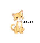 きゅーとな猫のLINEスタンプ（個別スタンプ：28）